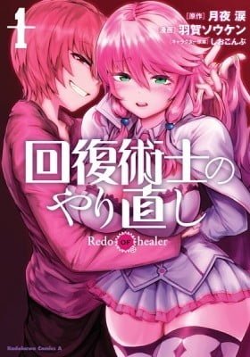 REDO OF HEALER Cover Image